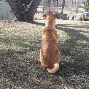 Meet your Posher, Mack